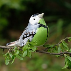 Závěsný ptáček - Sýkorka